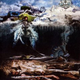 Illustration for article titled The least essential albums of 2009